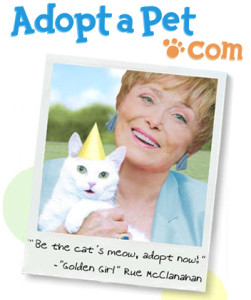 Try adoptapet.com! This a great place where you can adopt dogs. You can select what kind of breed you want. It is very specific.